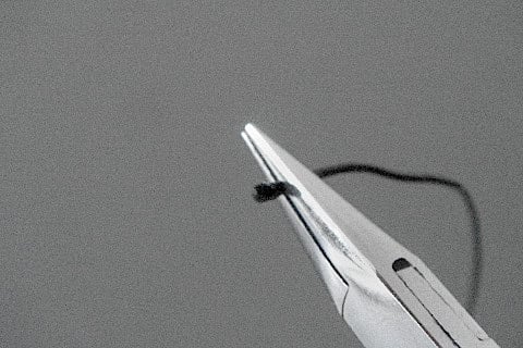 Bridle line in the pliers