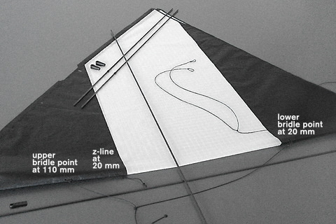 The sail of the kite and the parts for making the kite ready to fly